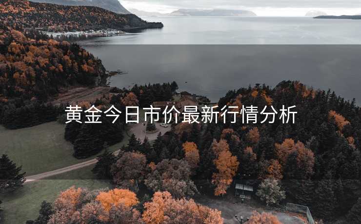 黄金今日市价最新行情分析