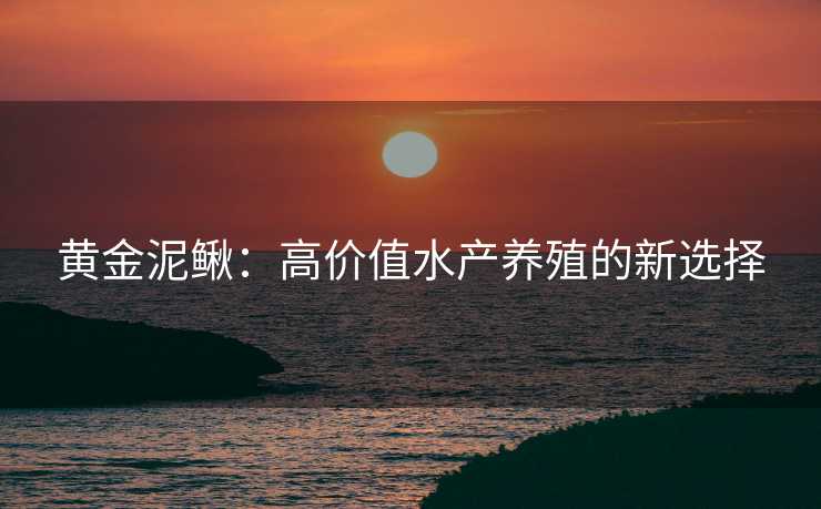 黄金泥鳅：高价值水产养殖的新选择