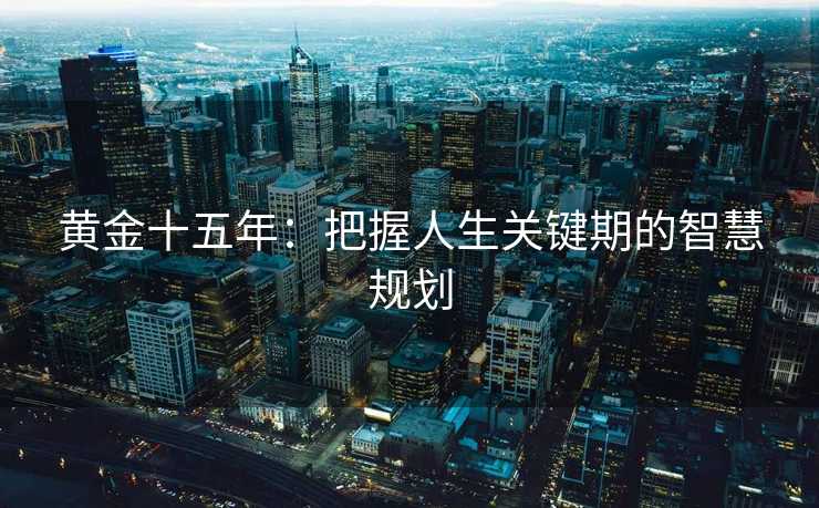 黄金十五年：把握人生关键期的智慧规划