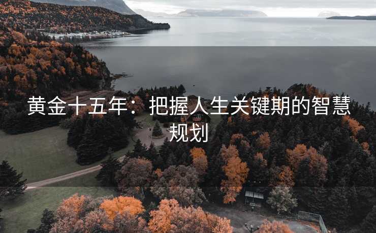 黄金十五年：把握人生关键期的智慧规划