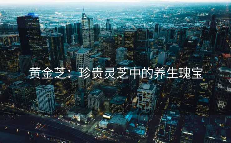 黄金芝：珍贵灵芝中的养生瑰宝
