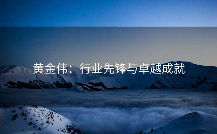 黄金伟：行业先锋与卓越成就