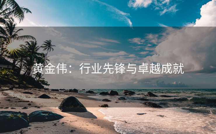 黄金伟：行业先锋与卓越成就