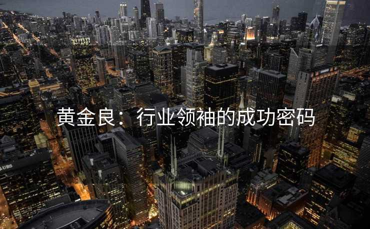 黄金良：行业领袖的成功密码