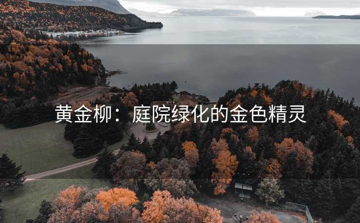 高级教练 - 林嘉敏